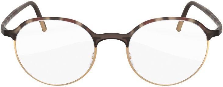 Silhouette 2910 Titanium Frame