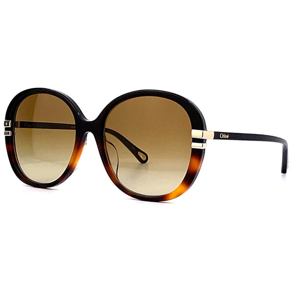 CHLOE CH 0207SK Acetate  Sunglass For Women