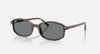 Ray Ban RB 2232 Acetate Sunglass