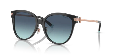 Tiffany & Co. TF 4193B Acetate Sunglasses