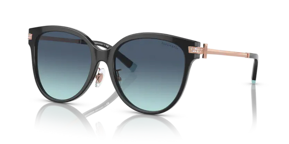 Tiffany & Co. TF 4193B Acetate Sunglasses