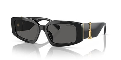 Tiffany & Co TF 4208-U Acetate Sunglasses For Women