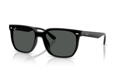 Ray Ban RB 4466D Acetate Sunglass