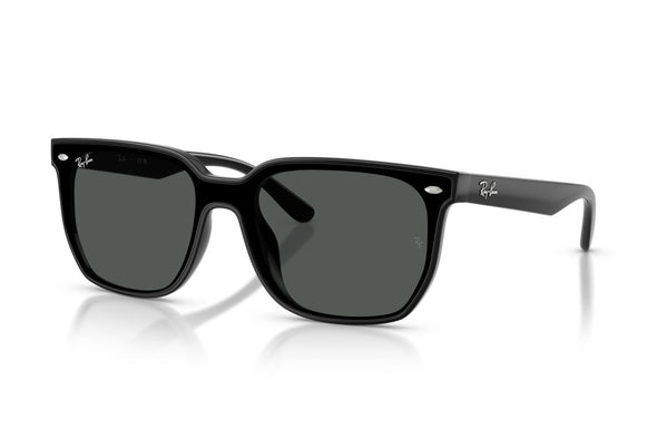 Ray Ban RB 4466D Acetate Sunglass
