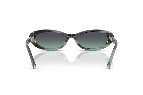 Tiffany & Co TF 4250 Acetate Sunglasses