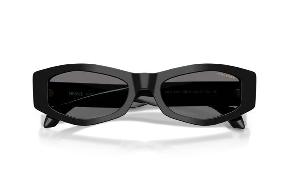 Versace  VE 4487 Acetate Sunglass