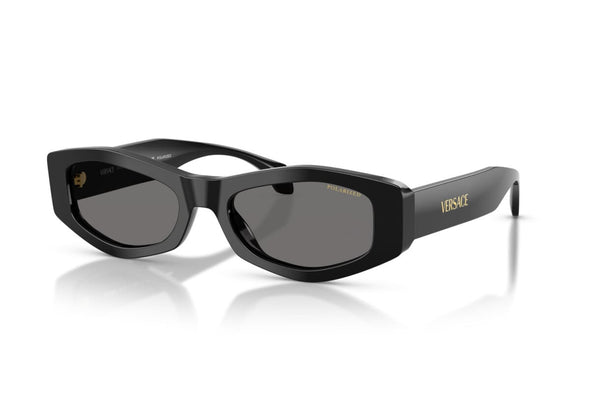 Versace  VE 4487 Acetate Sunglass