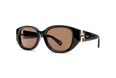 CHLOE CH 0237SK Acetate  Sunglass For Women