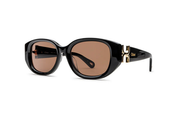 CHLOE CH 0237SK Acetate  Sunglass For Women