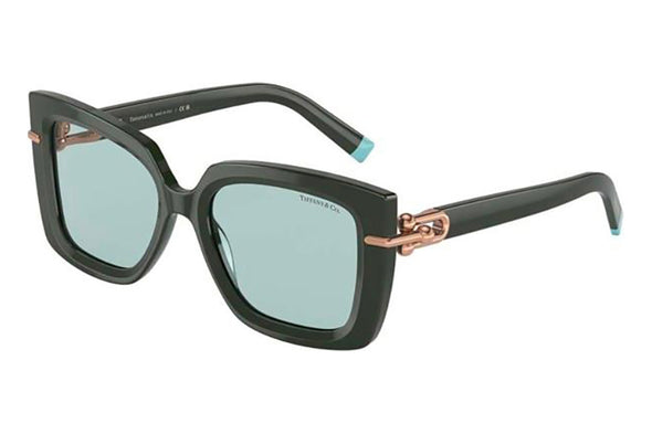 Tiffany & Co. TF 4199 Acetate Sunglasses For Women