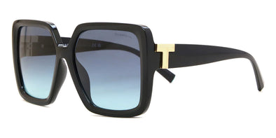 Tiffany & Co TF 4206U Acetate Sunglasses For Women