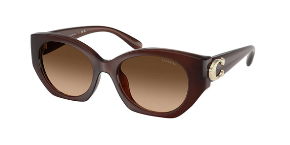 Coach HC 8407U Acetate Sunglasses
