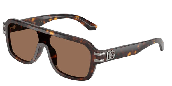 Dolce & Gabbana DG 4507 Acetate Sunglasses