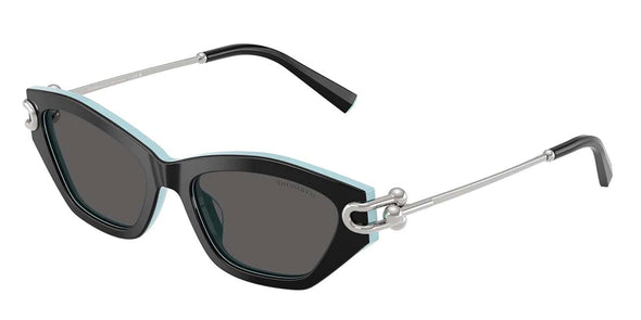 Tiffany & Co. TF 4231U Acetate Sunglasses