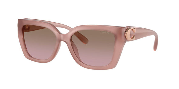 Coach HC 8408U Acetate Sunglasses For Women