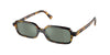 Miu Miu SMU 11Z Acetate Sunglass