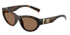Dolce & Gabbana DG 6207 Acetate Sunglasses