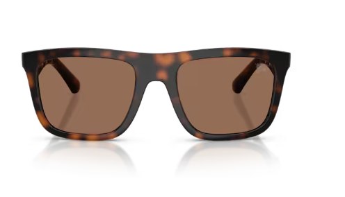 Burberry BE 4458U Acetate Sunglasses