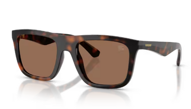 Burberry BE 4458U Acetate Sunglasses