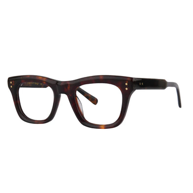 ROSVIN BUGS "COLUMBIA" ACETATE FRAME