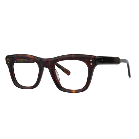 ROSVIN BUGS "COLUMBIA" ACETATE FRAME