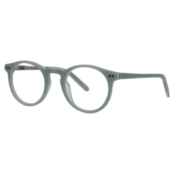 ROSVIN BUGS" NOAH" ACETATE FRAME