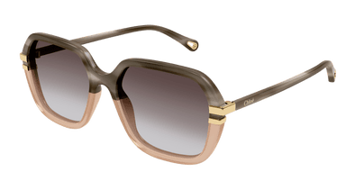 CHLOE CH 0204S Acetate  Sunglass For Women