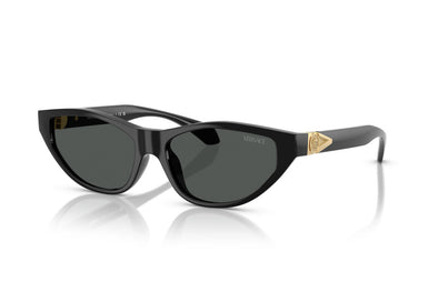 Versace  VE 4491U Acetate Sunglasses