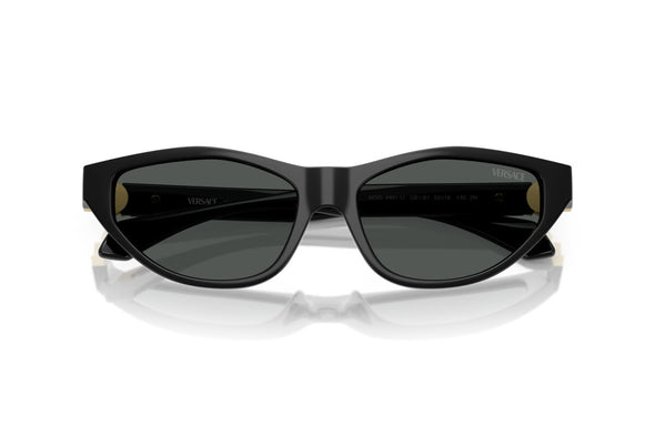 Versace  VE 4491U Acetate Sunglasses