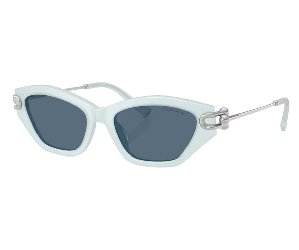 Tiffany & Co. TF 4231U Acetate Sunglasses