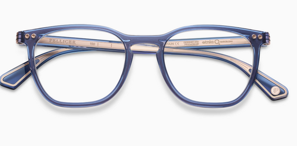 Etnia Barcelona  Pellicer PUIG Acetate Frame