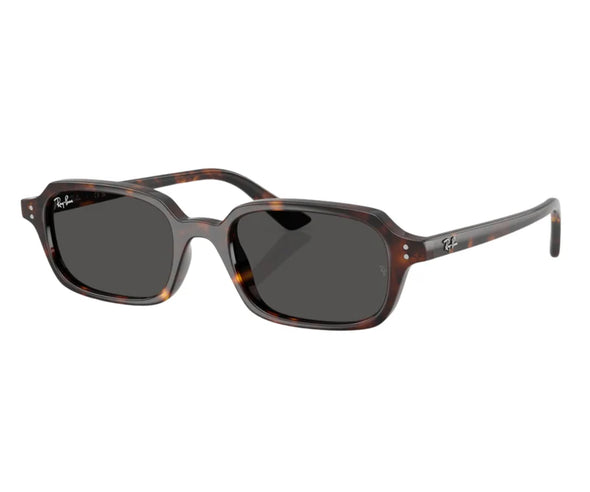 Ray Ban ZURI RB 4455 Acetate Sunglasses