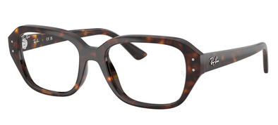 Ray Ban SHEA RB 7258 Acetate Frame