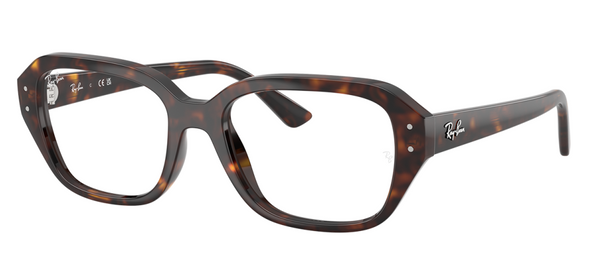 Ray Ban SHEA RB 7258 Acetate Frame