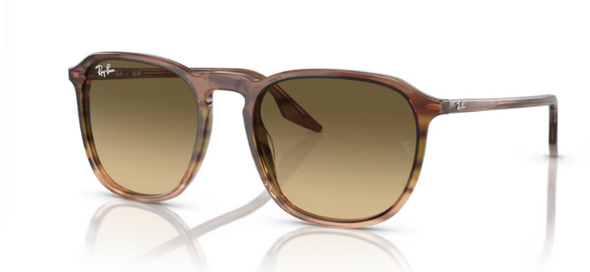 RayBan RB 2203 Acetate Sunglass