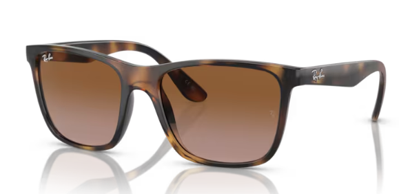 Ray Ban RB 4349I Acetate Sunglasses