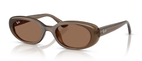 Ray Ban RB 4441D Acetate Sunglasses