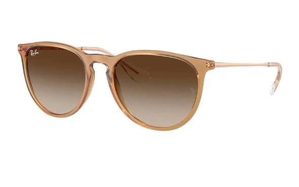 Ray Ban RB 4171 ERIKA Acetate Sunglasses