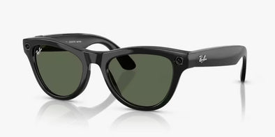 Ray Ban Meta Ai SMART Skyler Sunglasses RW 4010