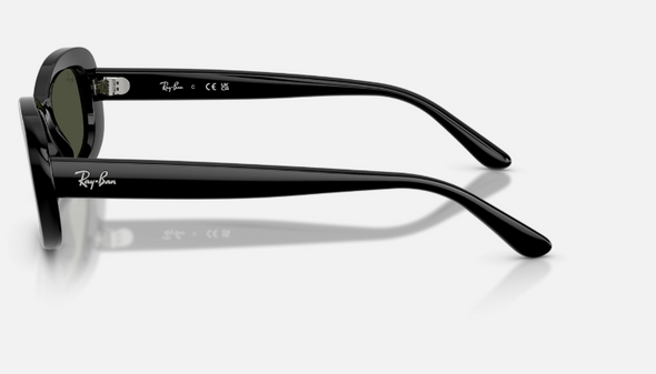 Ray Ban RB 2221 Acetate Sunglasses