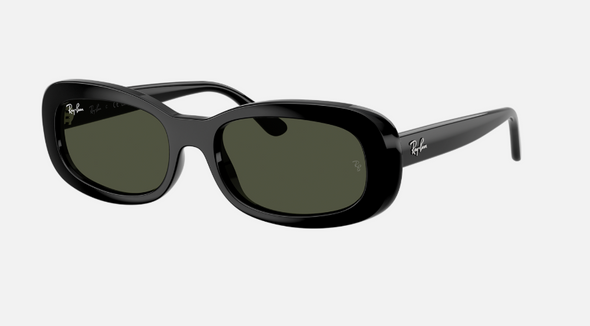 Ray Ban RB 2221 Acetate Sunglasses