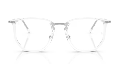 Ray Ban CHAD RB 4451V Frame