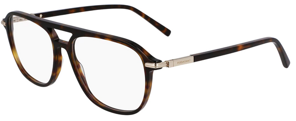 Salvatore Ferragamo SF 3006 Acetate Frame