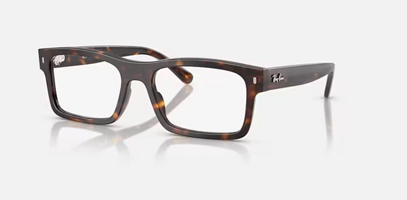 RayBan RB 5435 Acetate Frame