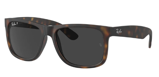 Ray Ban RB 4165 Justin Acetate Sunglasses