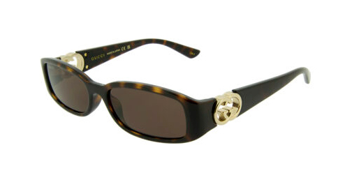 Gucci GG 1661S Acetate Sunglass