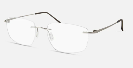 Modo 4636 Titanium Rimless Frame