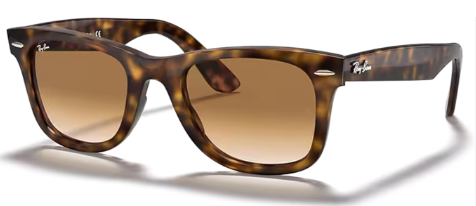 RayBan RB 4340 Wayfarer Acetate Sunglass