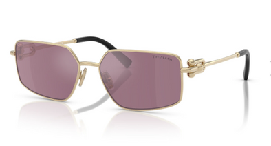 Tiffany & Co. TF 3111 Metal Sunglasses