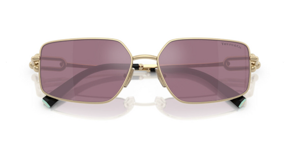 Tiffany & Co. TF 3111 Metal Sunglasses